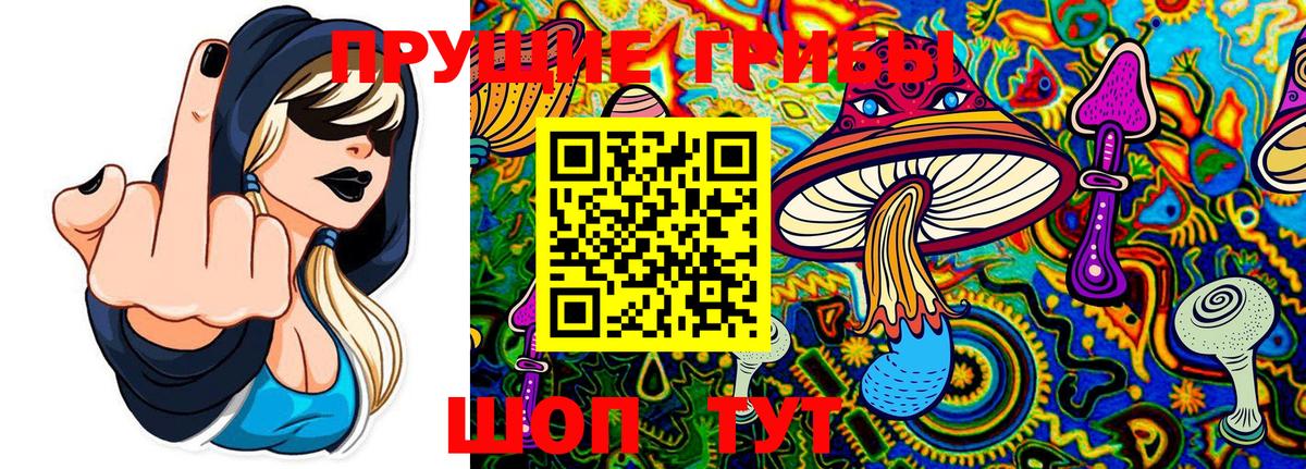 Уварово  Псилоцибиновые грибы ЛСД  Вход с VPN 