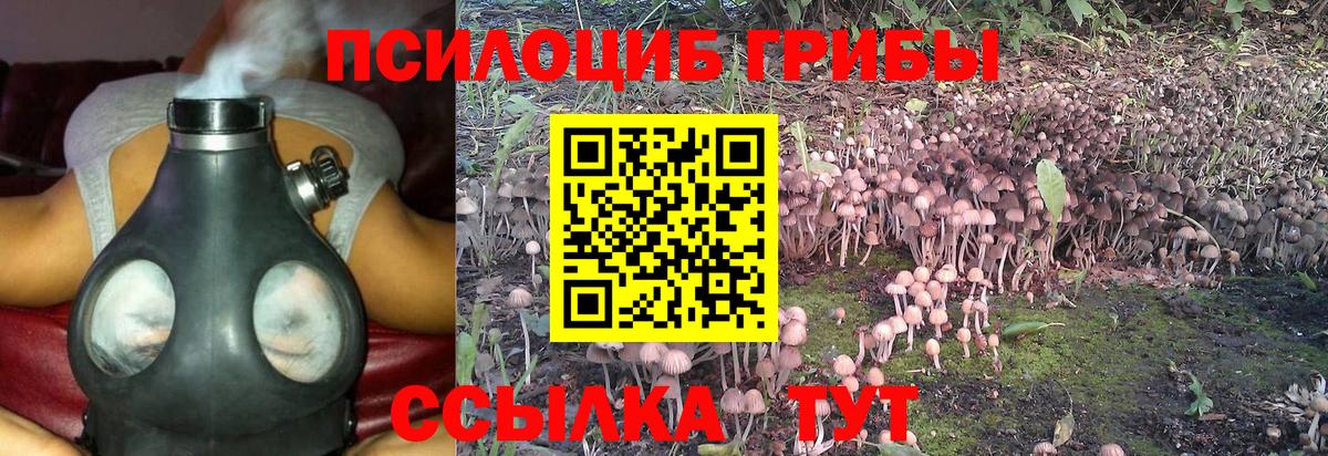 Галлюциногенные грибы прущие грибы Уварово